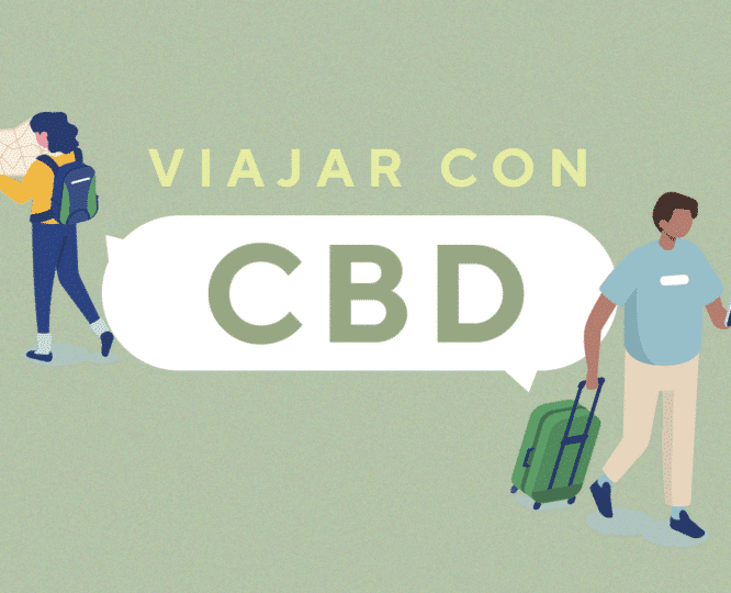 ¿Es legal viajar llevando CBD? te damos todas las claves legales para viajar con CBD y conocer la normativa