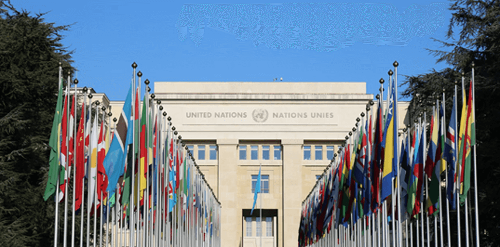 ONU admite Investigación científica sobre los beneficios terapéuticos del cannabis