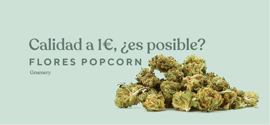 Flores de CBD a 1 Euro. PopCorn de CBD de Greenery son la mejor opción para conseguir CBD Barato de Calidad.