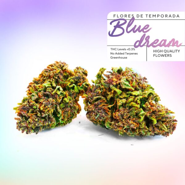 Günstige CBD-Knospen Blue Dream in Greenery 420. CBD-Blüten für 2 € pro Gramm mit unglaublicher Qualität