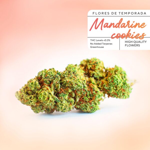 Günstige CBD-Knospen Mandarinenkekse bei Greenery 420. CBD-Blüten für 2 € pro Gramm mit unglaublicher Qualität