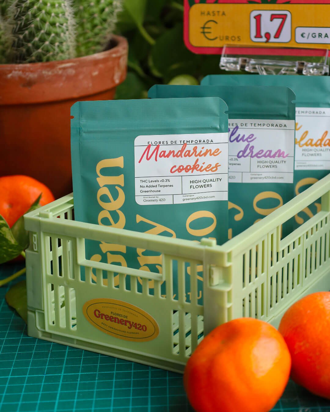 Günstige CBD-Blüten - Eine Euro-Packung
