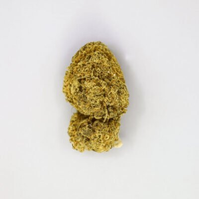 Cogollo de CBD variedad Amnesia Haze Indoor sobre fondo blanco.