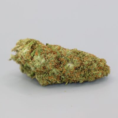 CBD-Knospe der Sorte Tropic Thunder Indoor auf weißem Hintergrund.